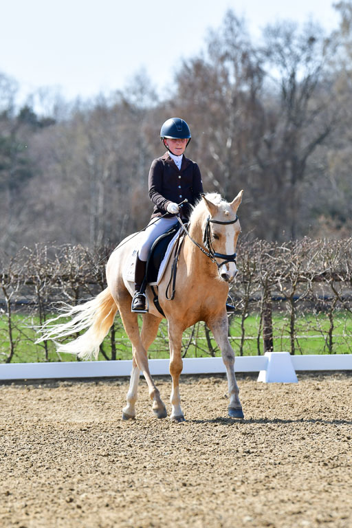 Reitsportzentrum Bremervörde | 160421Dressurpony A_079 