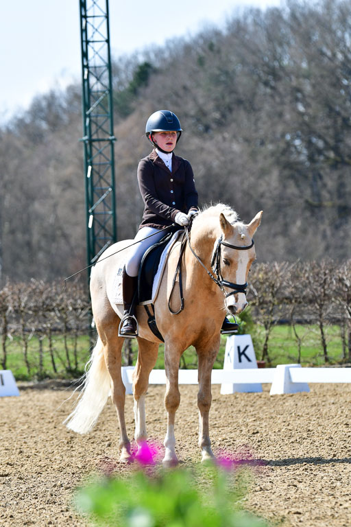 Reitsportzentrum Bremervörde | 160421Dressurpony A_081 
