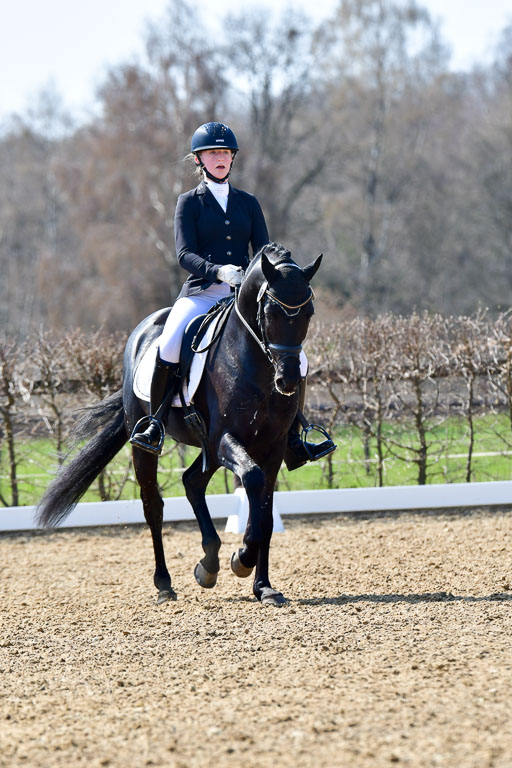 Reitsportzentrum Bremervörde | 160421Dressurpony A_087 