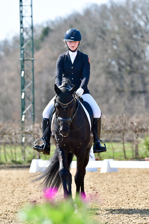 Reitsportzentrum Bremervörde | 160421Dressurpony A_090 