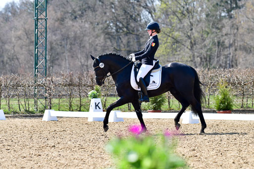 Reitsportzentrum Bremervörde | 160421Dressurpony A_091 