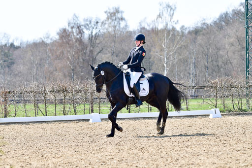 Reitsportzentrum Bremervörde | 160421Dressurpony A_092 