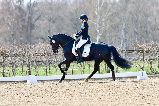 Reitsportzentrum Bremervörde | 160421Dressurpony A_093 