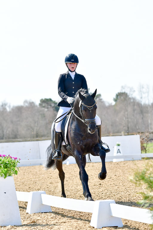 Reitsportzentrum Bremervörde | 160421Dressurpony A_094 