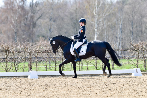 Reitsportzentrum Bremervörde | 160421Dressurpony A_098 