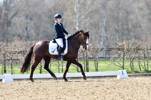 Dressurpony A