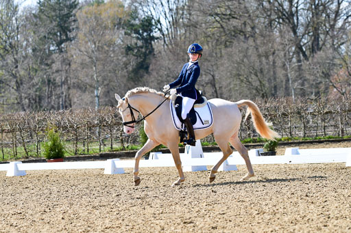 Reitsportzentrum Bremervörde | 160421Dressurpony A_123 