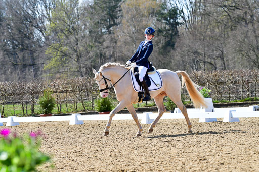 Reitsportzentrum Bremervörde | 160421Dressurpony A_124 