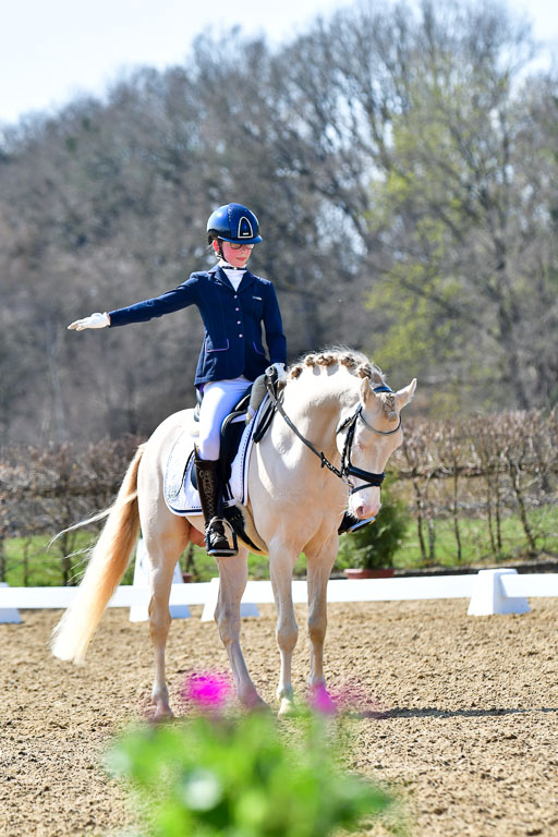 Reitsportzentrum Bremervörde | 160421Dressurpony A_126 