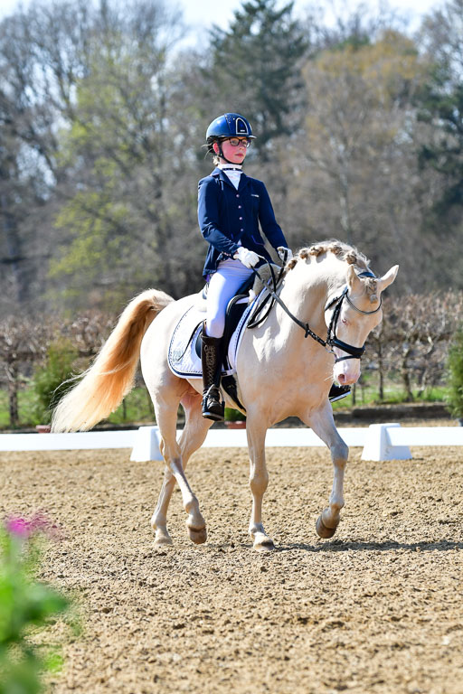 Reitsportzentrum Bremervörde | 160421Dressurpony A_127 