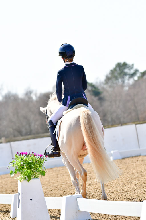Reitsportzentrum Bremervörde | 160421Dressurpony A_128 