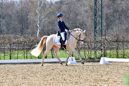 Reitsportzentrum Bremervörde | 160421Dressurpony A_129 