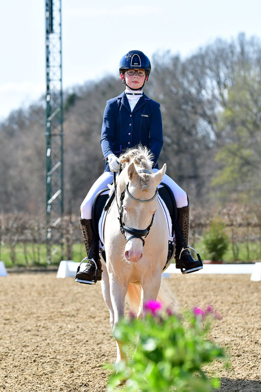 Reitsportzentrum Bremervörde | 160421Dressurpony A_131 
