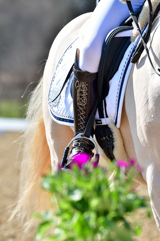 Reitsportzentrum Bremervörde | 160421Dressurpony A_132 