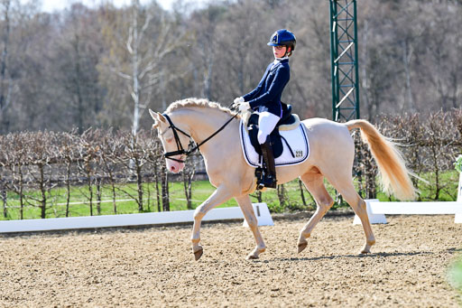Reitsportzentrum Bremervörde | 160421Dressurpony A_134 