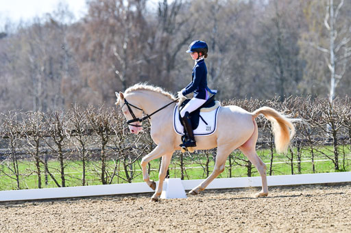Reitsportzentrum Bremervörde | 160421Dressurpony A_135 