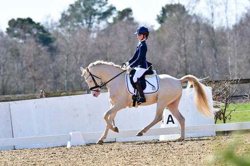 Reitsportzentrum Bremervörde | 160421Dressurpony A_137 