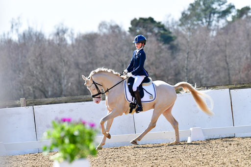 Reitsportzentrum Bremervörde | 160421Dressurpony A_138 