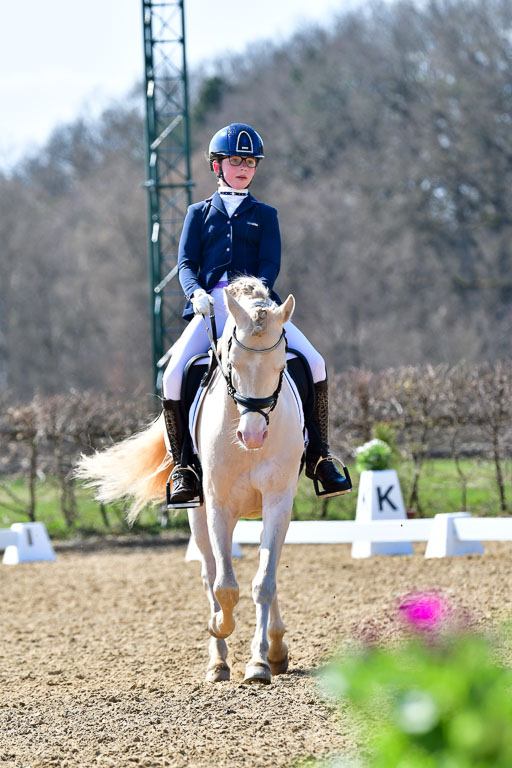 Reitsportzentrum Bremervörde | 160421Dressurpony A_140 