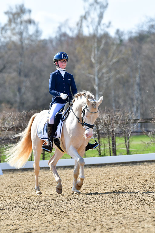 Reitsportzentrum Bremervörde | 160421Dressurpony A_141 