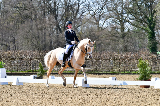 Reitsportzentrum Bremervörde | 160421Dressurpony A_147 