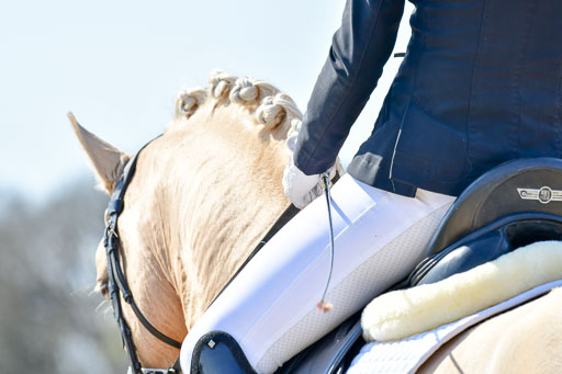 Reitsportzentrum Bremervörde | 160421Dressurpony A_149 