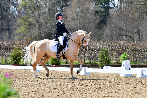 Reitsportzentrum Bremervörde | 160421Dressurpony A_151 