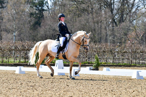 Reitsportzentrum Bremervörde | 160421Dressurpony A_152 
