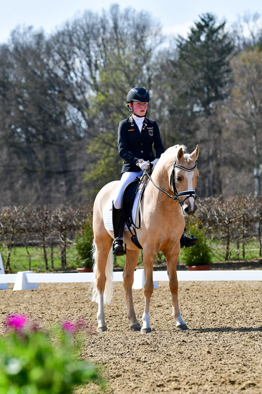 Reitsportzentrum Bremervörde | 160421Dressurpony A_153 