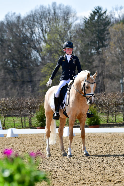 Reitsportzentrum Bremervörde | 160421Dressurpony A_154 