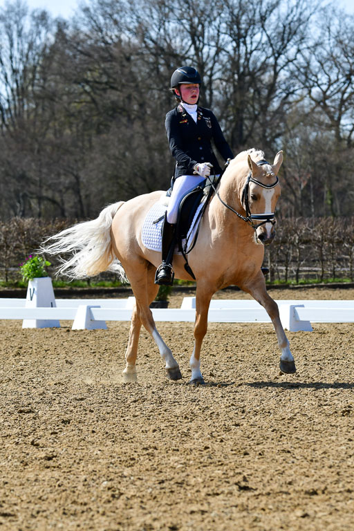 Reitsportzentrum Bremervörde | 160421Dressurpony A_155 