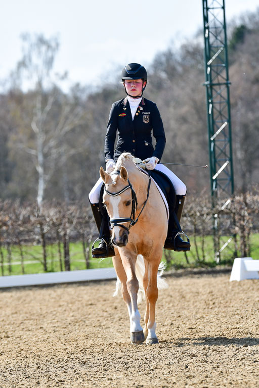 Reitsportzentrum Bremervörde | 160421Dressurpony A_156 