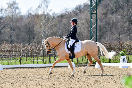 Reitsportzentrum Bremervörde | 160421Dressurpony A_157 