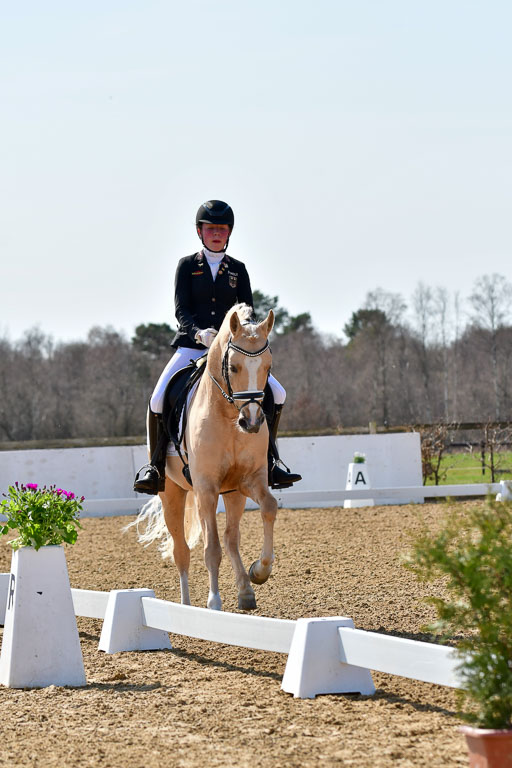 Reitsportzentrum Bremervörde | 160421Dressurpony A_158 