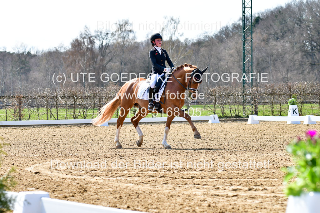 Reitsportzentrum Bremervörde | 160421Dressurpony L