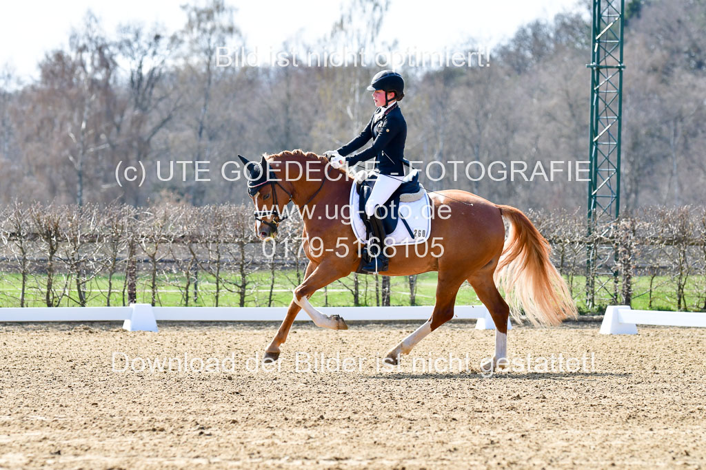 Reitsportzentrum Bremervörde | 160421Dressurpony L_04