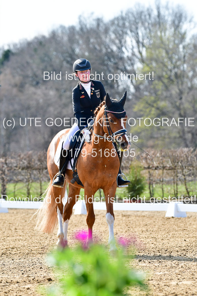 Reitsportzentrum Bremervörde | 160421Dressurpony L_08