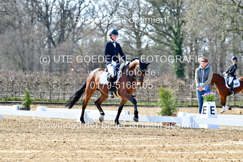 Reitsportzentrum Bremervörde | 160421Dressurpony L_10