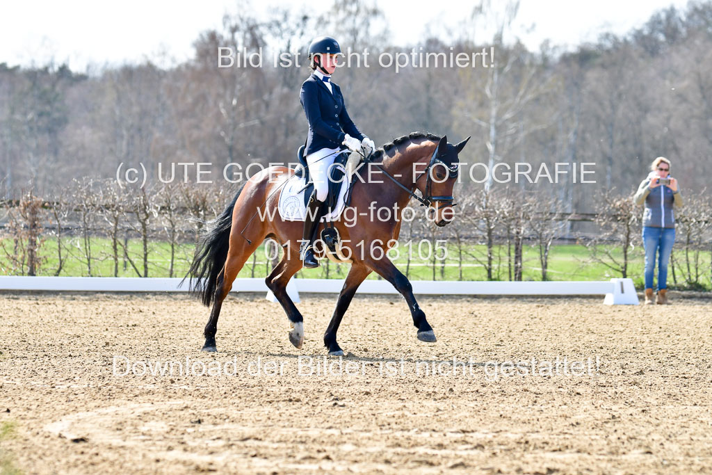 Reitsportzentrum Bremervörde | 160421Dressurpony L_15