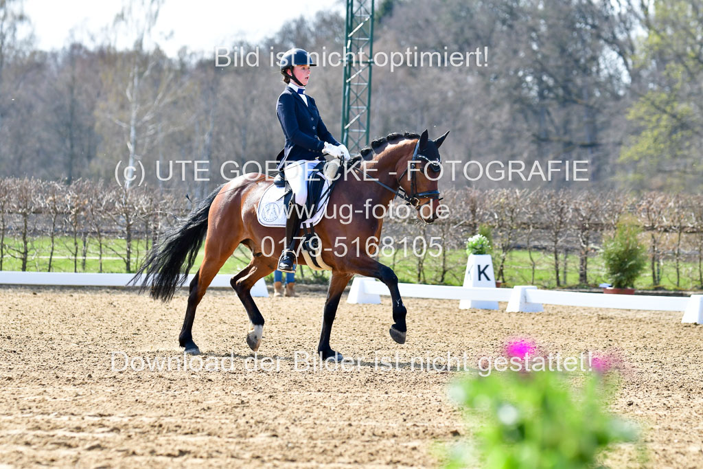 Reitsportzentrum Bremervörde | 160421Dressurpony L_16