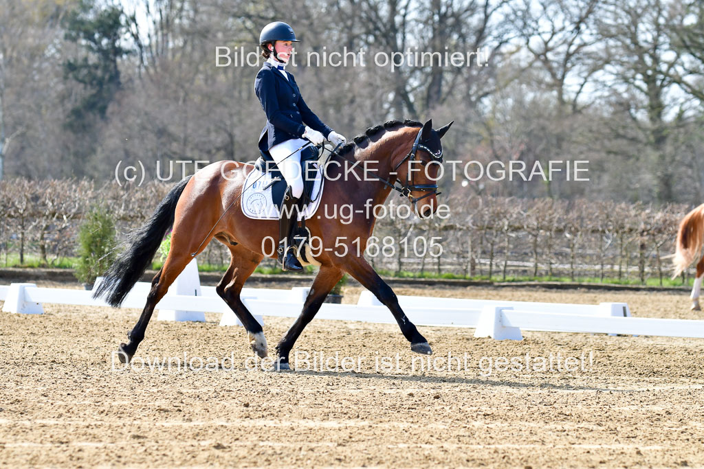 Reitsportzentrum Bremervörde | 160421Dressurpony L_20