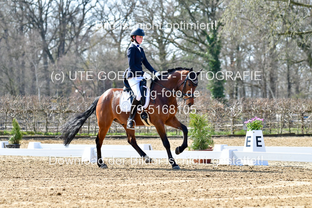 Reitsportzentrum Bremervörde | 160421Dressurpony L_22