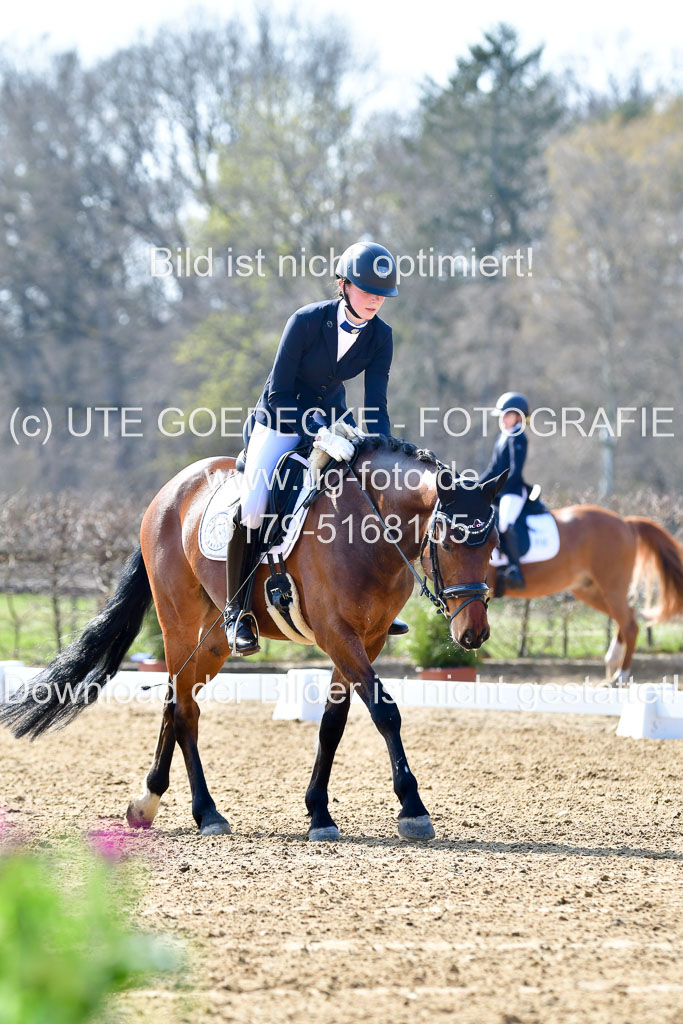 Reitsportzentrum Bremervörde | 160421Dressurpony L_24