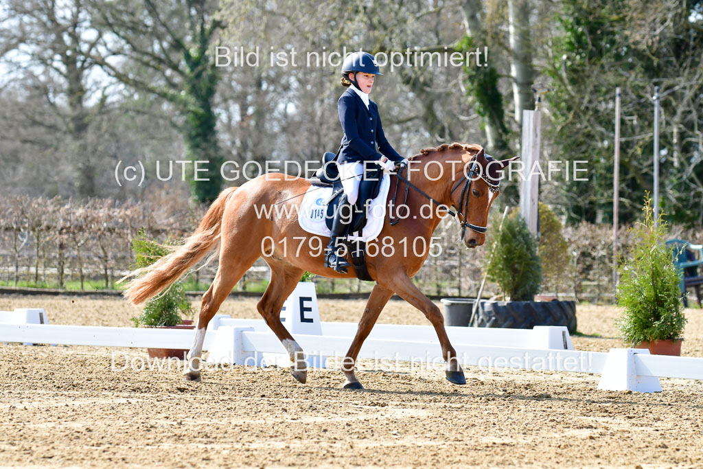 Reitsportzentrum Bremervörde | 160421Dressurpony L_28
