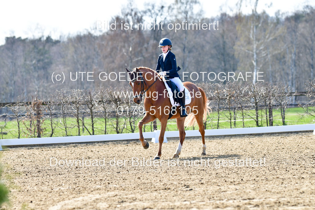 Reitsportzentrum Bremervörde | 160421Dressurpony L_38