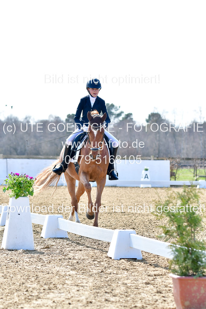 Reitsportzentrum Bremervörde | 160421Dressurpony L_39