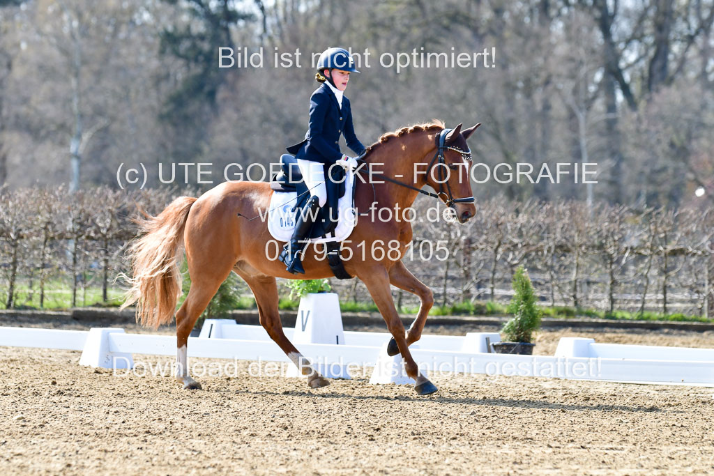 Reitsportzentrum Bremervörde | 160421Dressurpony L_43