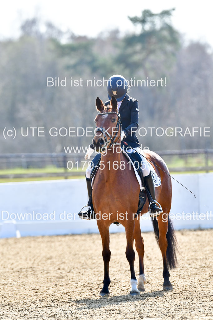 Reitsportzentrum Bremervörde | 160421Dressurpony L_52