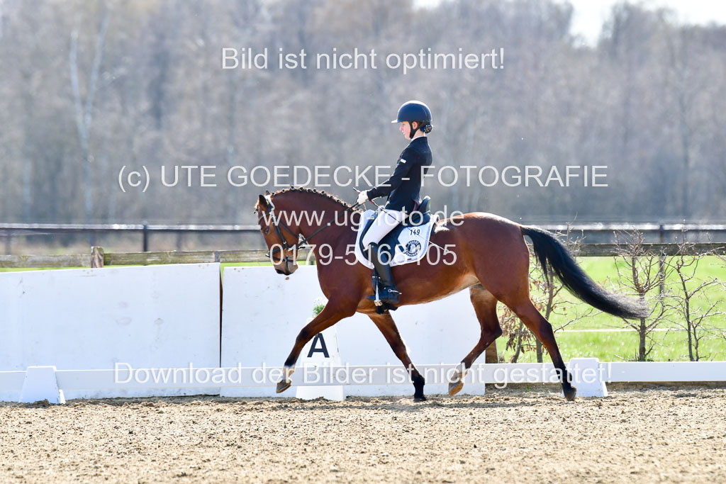 Reitsportzentrum Bremervörde | 160421Dressurpony L_54