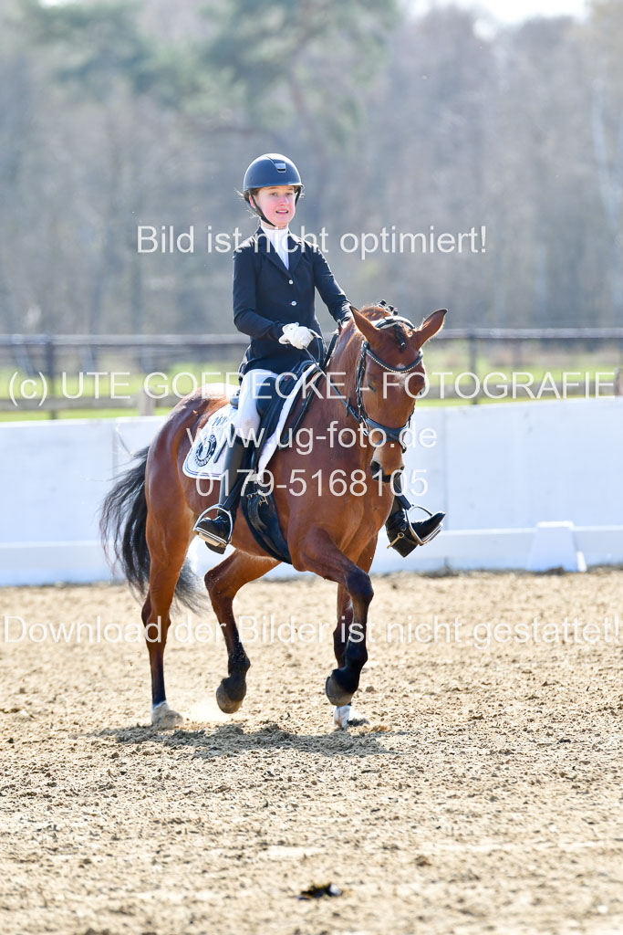 Reitsportzentrum Bremervörde | 160421Dressurpony L_55